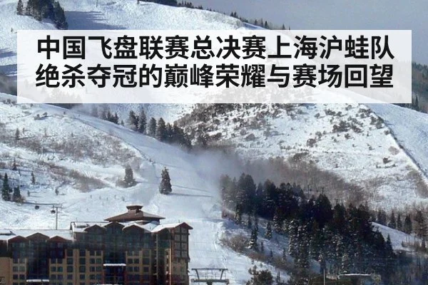 中国飞盘联赛总决赛上海沪蛙队绝杀夺冠的巅峰荣耀与赛场回望